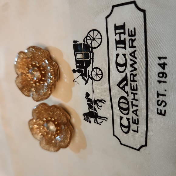 Earrings - Picture 1 of 7